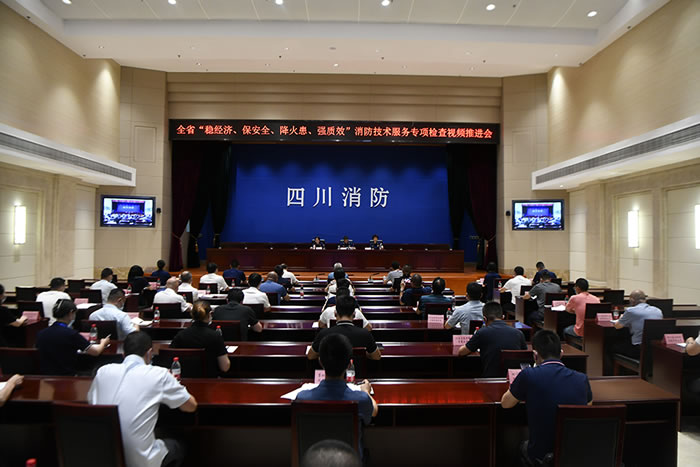 总队召开全省“稳经济、保安全、降火患、强质效”消防技术服务机构专项检查视频推进会