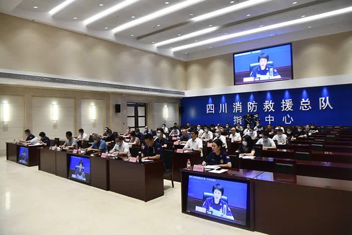 总队召开全省“稳经济、保安全、降火患、强质效”消防技术服务机构专项检查视频推进会