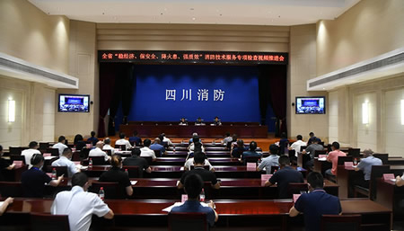 总队召开全省“稳经济、保安全、降火患、强质效”消防技术服务机构专项检查视频推进会